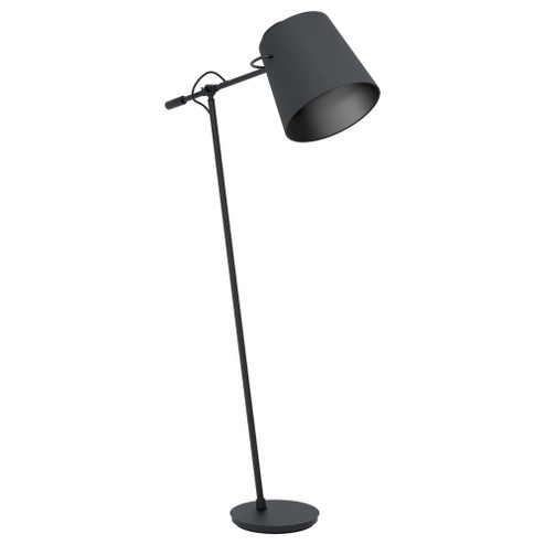 Granadillos One Light Floor Lamp in Black (217|39867A)