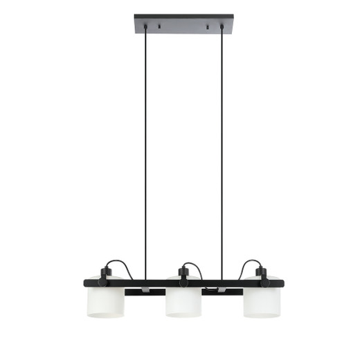 Drummond Three Light Pendant in Black (217|204941A)