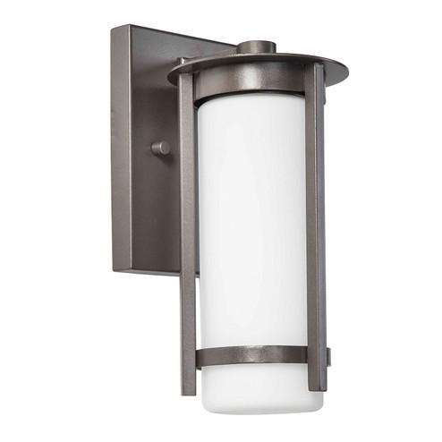 Truxton One Light Outdoor Wall Mount in Graphite (217|203111A)