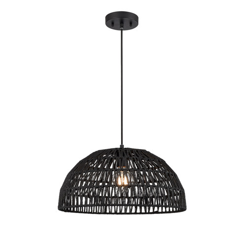 Lac Du Bonnet One Light Pendant in Black And Black Yarn (214|DVP44208BK-BY)