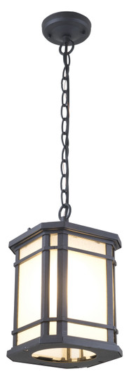 Cardiff Outdoor One Light Outdoor Pendant in Black With Sandblasted Seedy Glass (214|DVP142015BK-SSD)