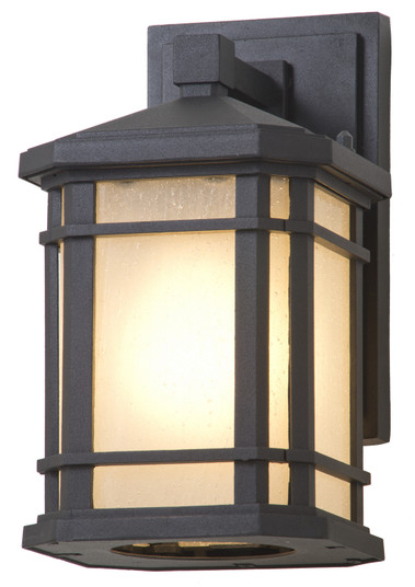 Cardiff Outdoor One Light Outdoor Wall Sconce in Black With Sandblasted Seedy Glass (214|DVP142000BK-SSD)