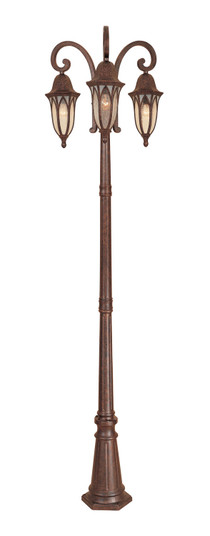 Berkshire Three Light Post Lantern in Burnished Antique Copper (43|20613-BAC)