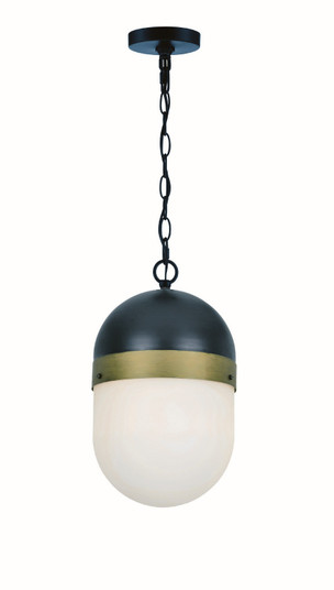 Capsule One Light Outdoor Pendant in Matte Black + Textured Gold (60|CAP-8507-MK-TG)