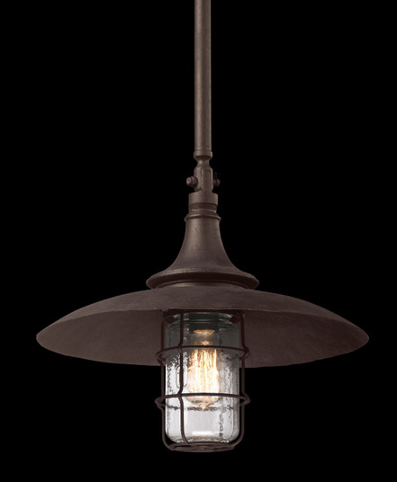 Allegheny One Light Hanging Lantern in Centennial Rust (67|F3229)