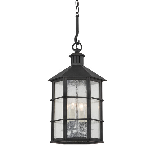 Lake County Four Light Outdoor Lantern in French Iron (67|F2526-FRN)