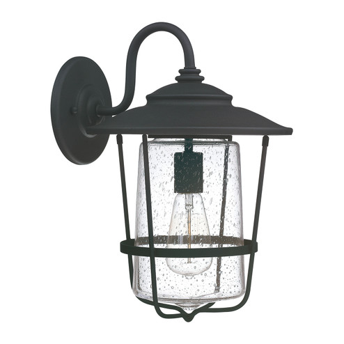 Creekside One Light Outdoor Wall Lantern in Black (65|9602BK)