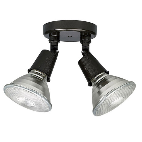 Outdoor Two Light Outdoor Flood Light in Bronze (65|9502RZ)