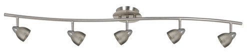 Serpentine Five Light Pendant in Brushed Steel (225|SL-954-5-BS/MBS)