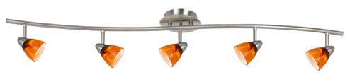 Serpentine Five Light Pendant in Brushed Steel (225|SL-954-5-BS/AMS)