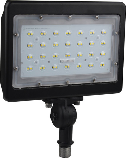 LED Flood Light in Bronze (72|65-538R1)