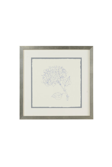 Claire Bell Pen And Ink Floral-Hydrangea in On Watercolor Paper (460|386920)