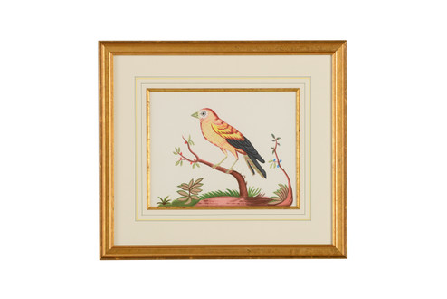 Bill Cain Yellow Wing/Rd Berry in Gold Frame And Fillet (460|386864)