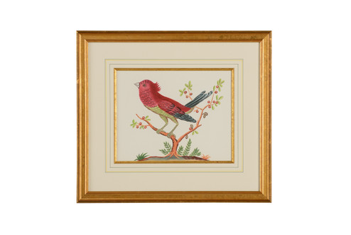 Bill Cain Pink Bird/Black Tail in Gold Frame And Fillet (460|386862)