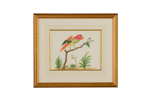 Chelsea House (General) Multicolor Bird in Gold Frame And Fillet (460|386859)
