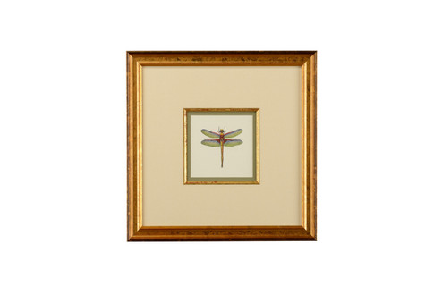 Chelsea House (General) Miniature Dragonfly Iv in Linen Double Mat - Gold Fillet (460|386611)