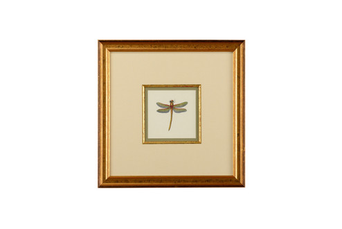 Chelsea House (General) Miniature Dragonfly Ii in Linen Double Mat - Gold Fillet (460|386609)