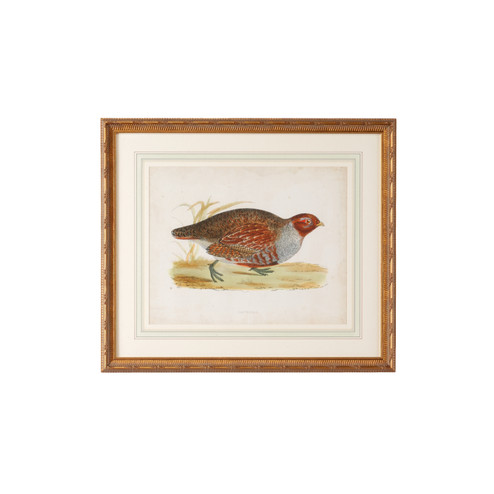 Chelsea House (General) Morris Partridge in Single French Mat, Antiqued Gold Frame (460|386485)
