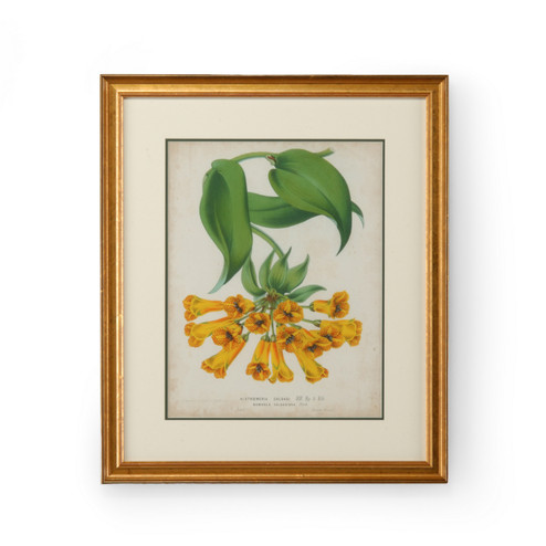 Chelsea House (General) Tropical Array Ii in Gold Frame-Double Mat (460|386349)