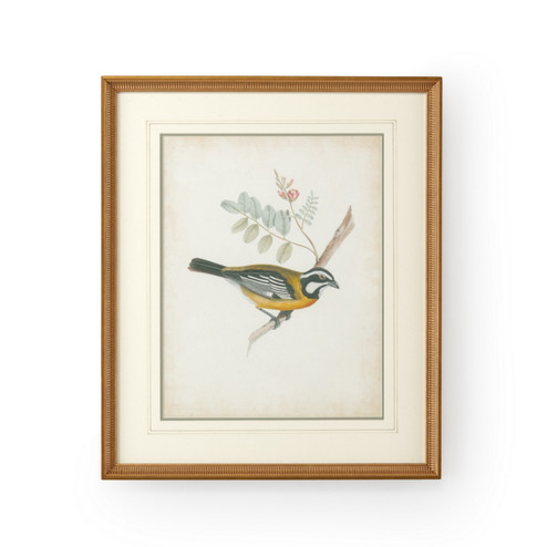 Chelsea House (General) Delicate Birds V in Gold Frame-Double May W/French Lines (460|386346)