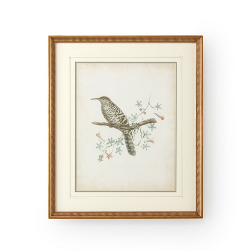 Chelsea House (General) Delicate Birds Iv in Gold Frame-Double Mat W/French Lines (460|386345)