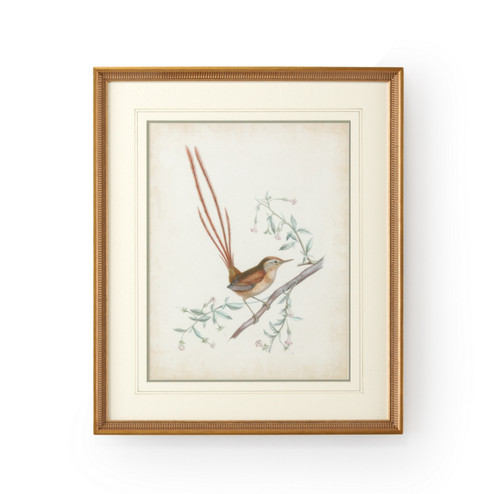 Chelsea House (General) Delicate Birds I in Gold Frame-Double Mat W/French Lines (460|386342)