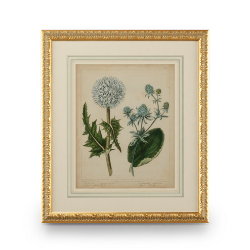 Chelsea House (General) Cottage Florals Iii in Gold Leaf Wood Frame - French Mat (460|386238)