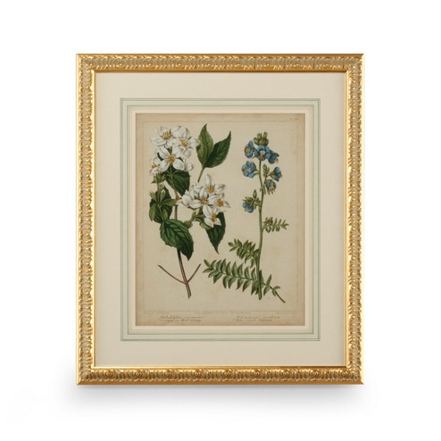 Chelsea House (General) Cottage Florals I in Gold Leaf Wood Frame - French Mat (460|386236)