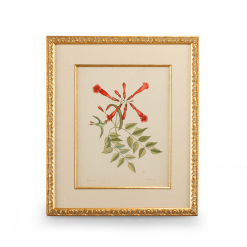 Chelsea House (General) Catesby Bird & Botanical Vi in Gold Leaf Frame - Linen Mat Fillet (460|386180)