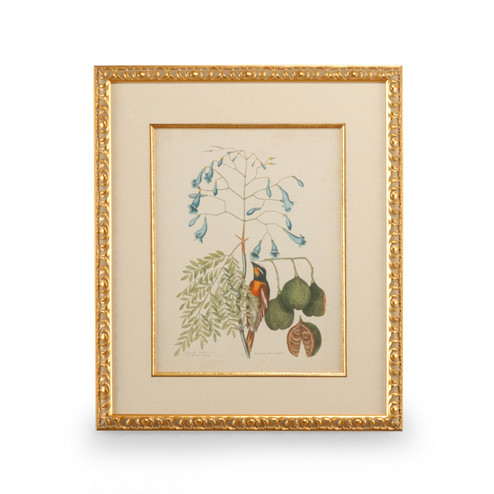 Chelsea House (General) Catesby Bird & Botanical Ii in Gold Leaf Frame - Linen Mat/Fillet (460|386176)