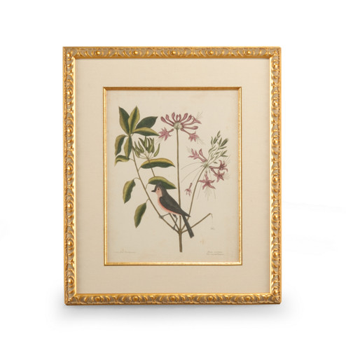 Chelsea House (General) Catesby Bird & Botanical I in Gold Leaf Frame - Linen Mat/Fillet (460|386175)