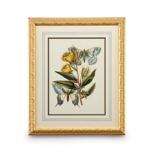 Chelsea House (General) Butterfly Oasis Ii in Gold Leafed Frame With French Mat (460|386096)