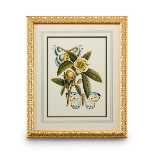 Chelsea House Misc Butterfly Oasis I in Gold Leafed Frame With French Mat (460|386095)