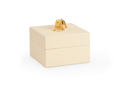Pam Cain Box in Cream/Metallic Gold (460|384877)