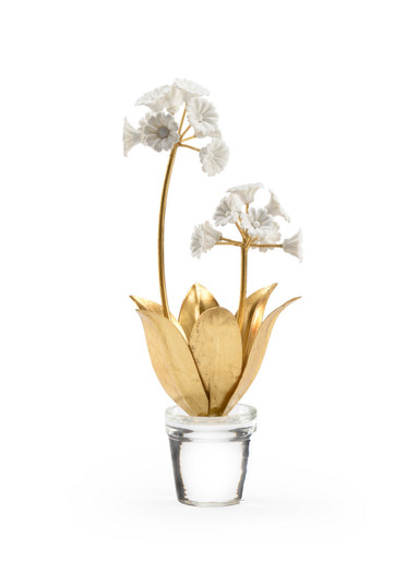 Chelsea House Misc Auricula in White/Gold (460|384321)