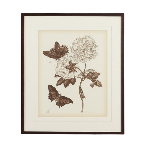 Chelsea House (General) Nature Study/Sepiaiv in Bronze Frame With V-Groove Mat (460|380433)