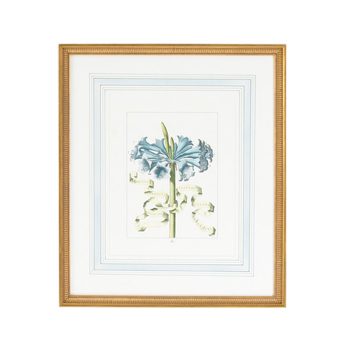 Chelsea House (General) Bl Floral W/Ribbon-D in Gold Frame With French Mat (460|380169)