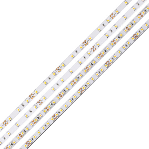 LED Tape Light (399|DI-24V-BLBSC3-30-100)