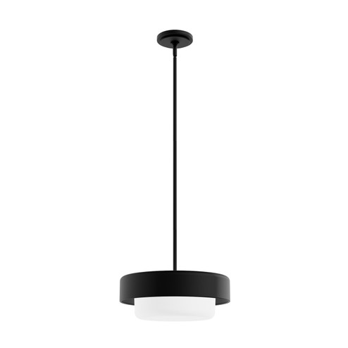 Station Two Light Pendant in Natural Black Iron (47|19271)
