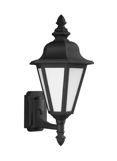 Brentwood One Light Outdoor Wall Lantern in Black (1|89824-12)