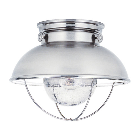 Sebring One Light Outdoor Flush Mount in Brushed Stainless (1|8869-98)