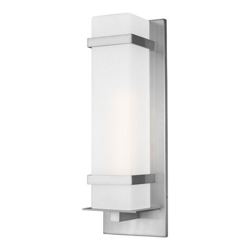 Alban One Light Outdoor Wall Lantern in Satin Aluminum (1|8720701EN3-04)