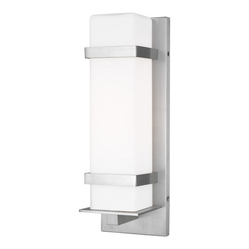 Alban One Light Outdoor Wall Lantern in Satin Aluminum (1|8620701-04)