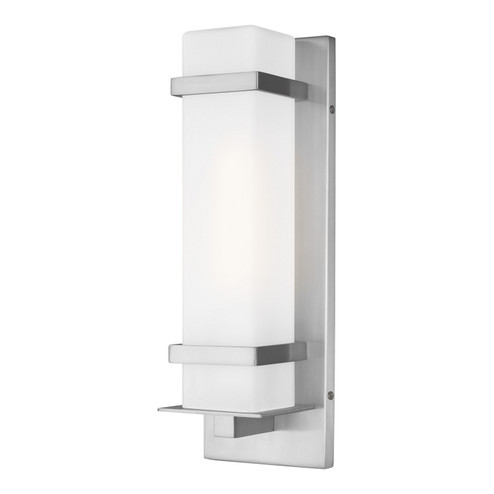 Alban One Light Outdoor Wall Lantern in Satin Aluminum (1|8520701EN3-04)