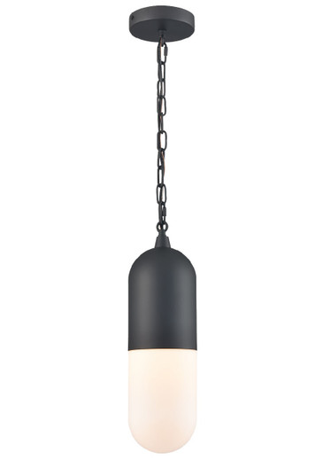 Capsule Outdoor One Light Pendant in Black With Half Opal Glass (214|DVP13775BK-OP)