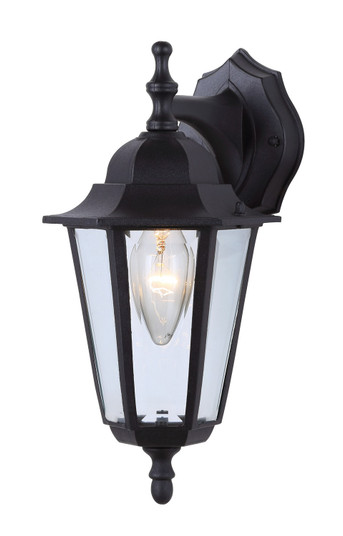 Outdoor One Light Outdoor Lantern in Black (387|IOL210)