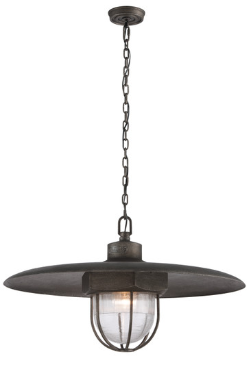 Acme One Light Pendant in Aged Pewter (67|F3898-APW)