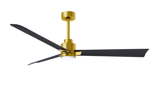 Alessandra 56''Ceiling Fan in Brushed Brass (101|AKLK-BRBR-BK-56)