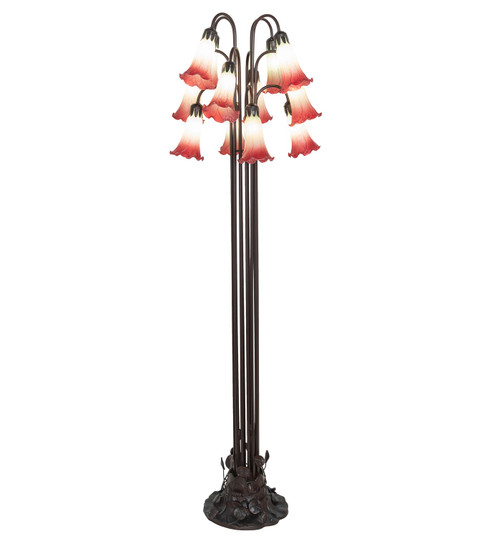 Seafoam/Cranberry 12 Light Floor Lamp in Mahogany Bronze (57|185080)