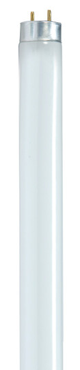 Light Bulb in Gloss White (230|S8442-TF)